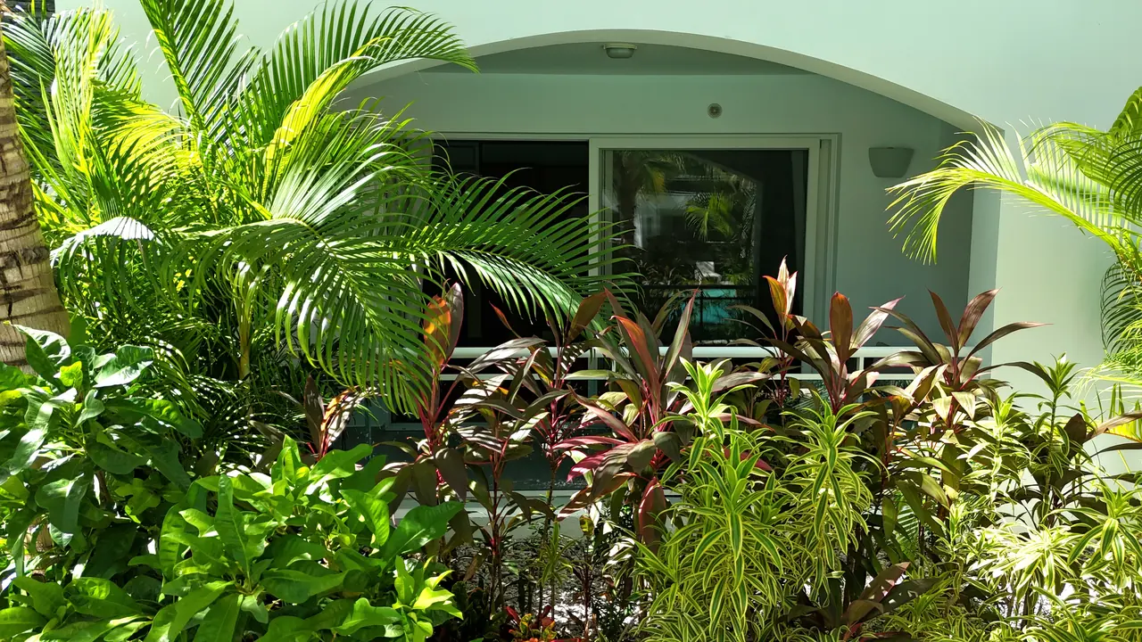 Estrella Dominicus: Exterior