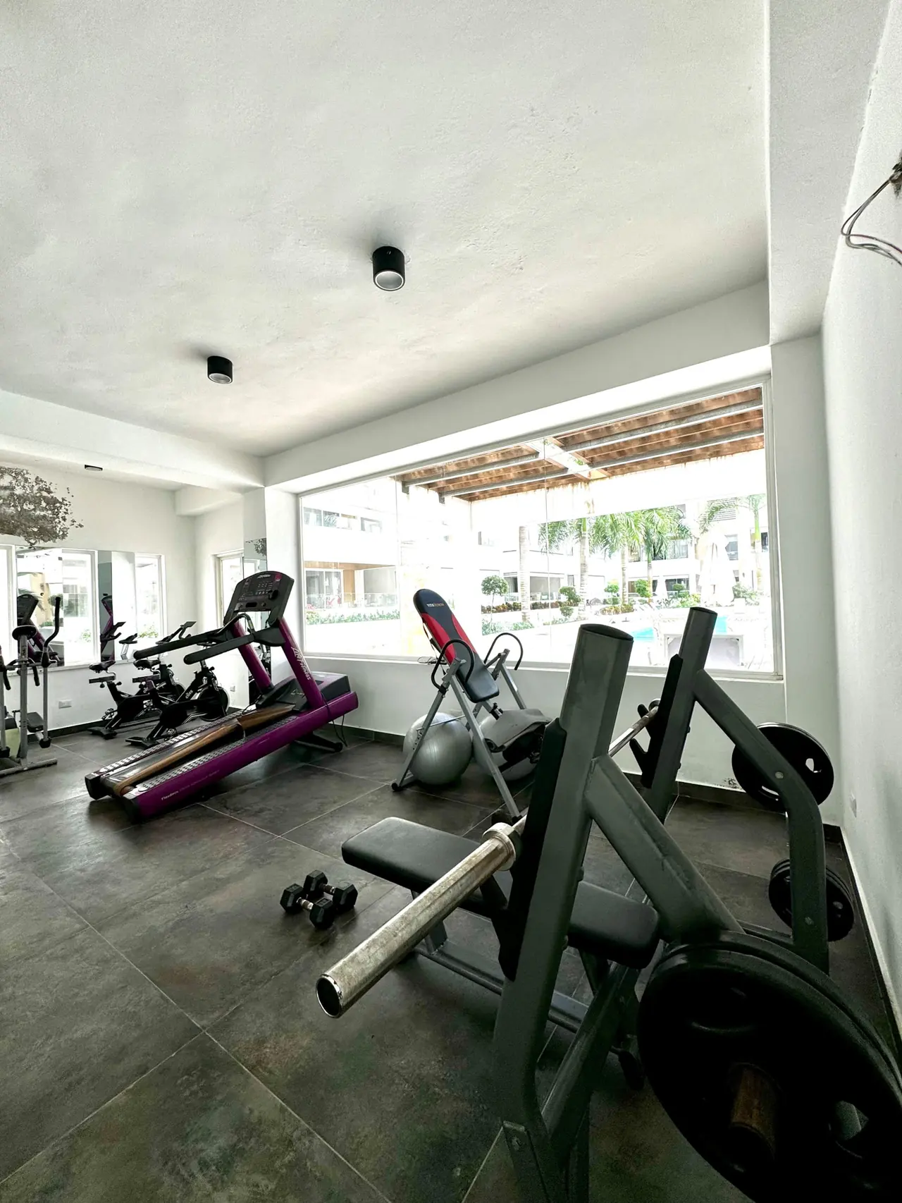 Estudio con piscina y gimnasio: Exterior