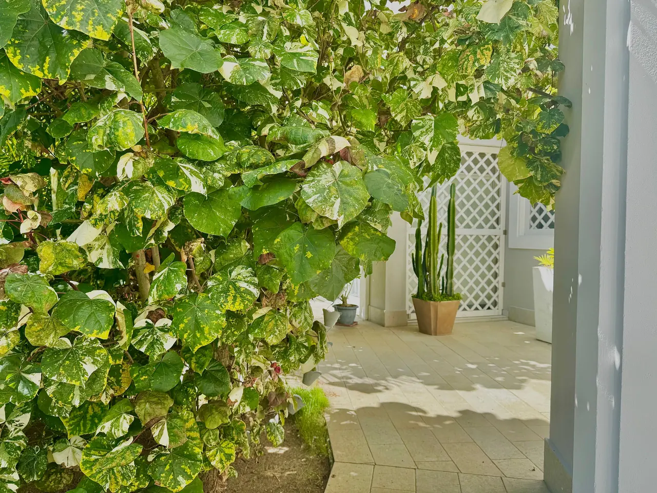 Tracadero Luxe: Exterior