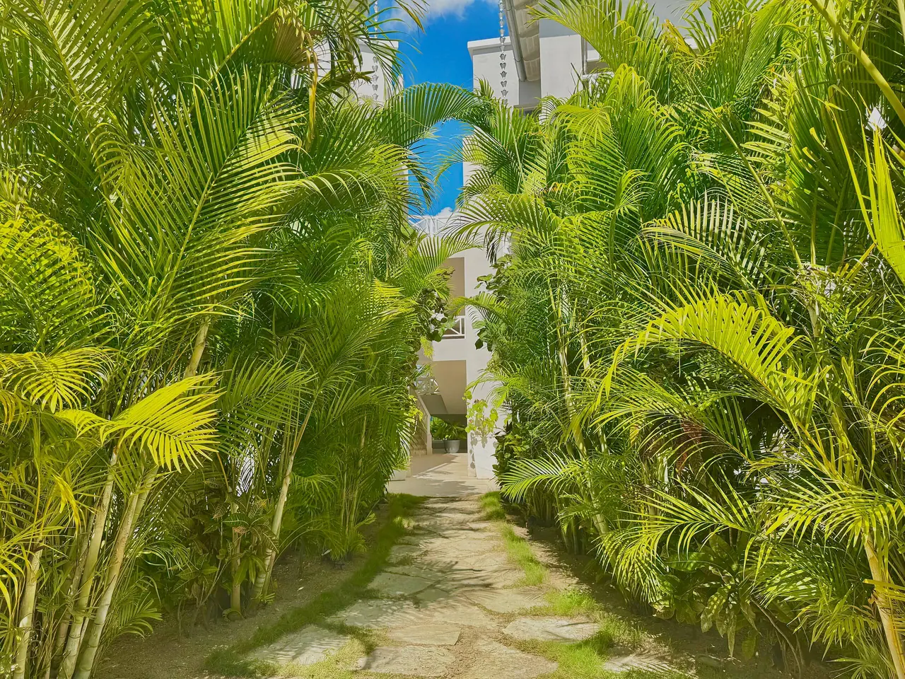 Tracadero Luxe: Exterior